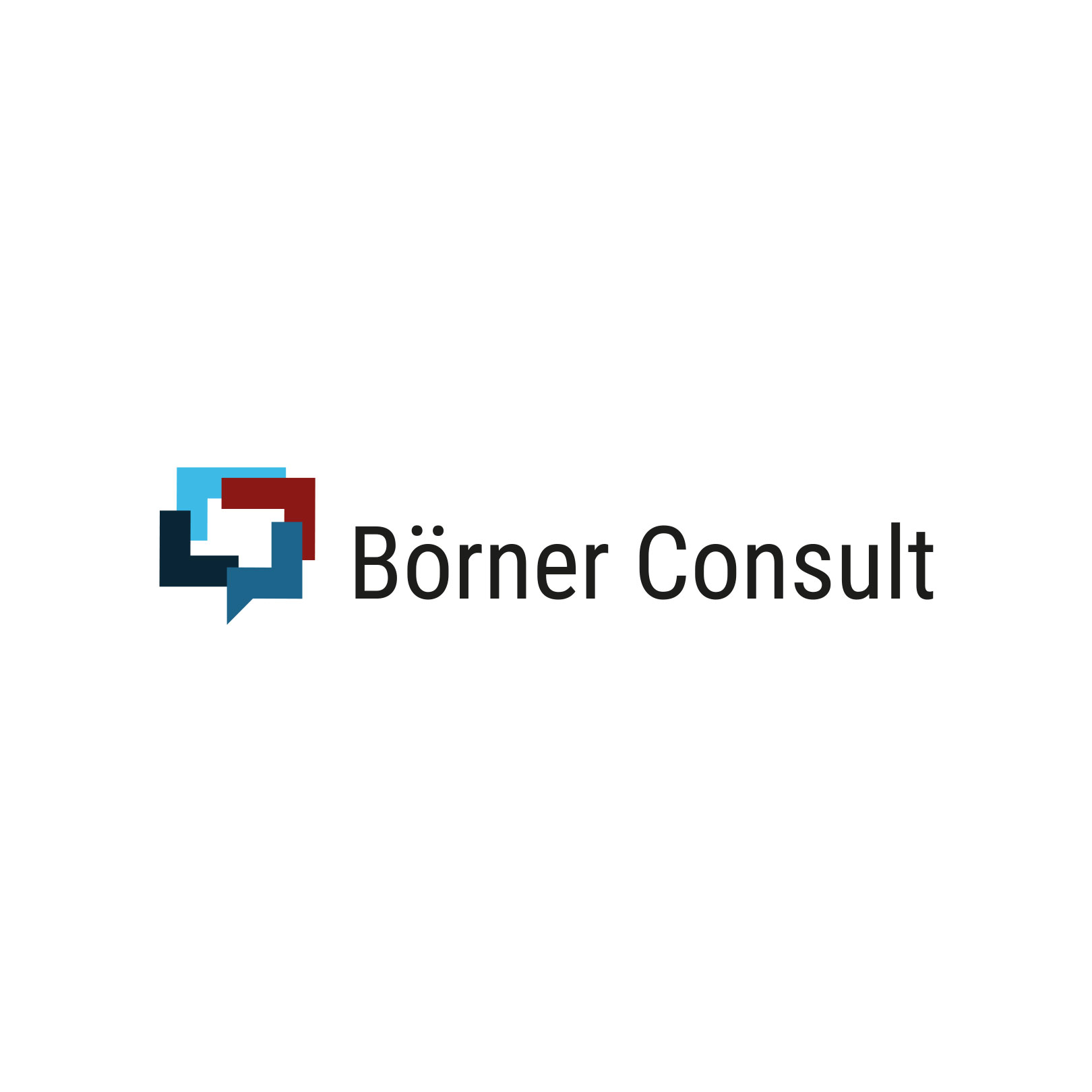 Von BRANDZEICHNER entwickeltes Logo für BÖRNER CONSULT