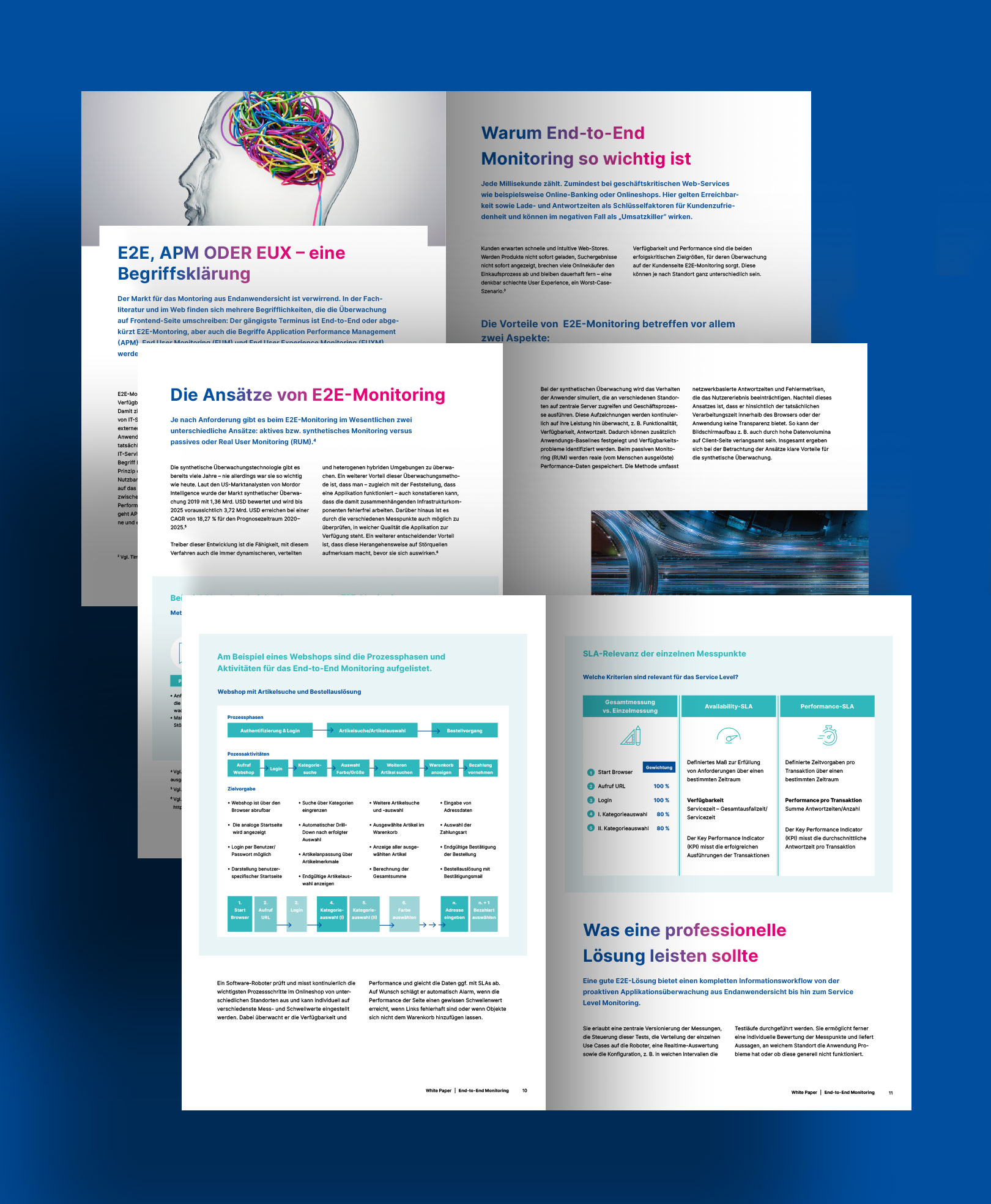 Von BRANDZEICHNER gestaltetes Whitepaper für USU.